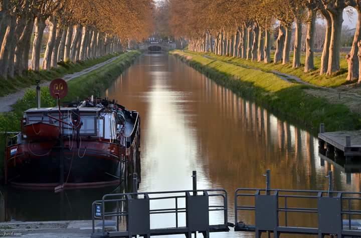 Au Paradis Cathare Fraissé-des-Corbières Exterior foto