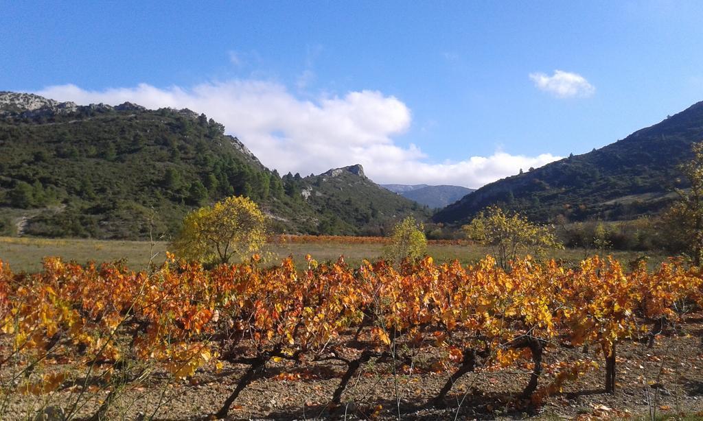 Au Paradis Cathare Fraissé-des-Corbières Exterior foto